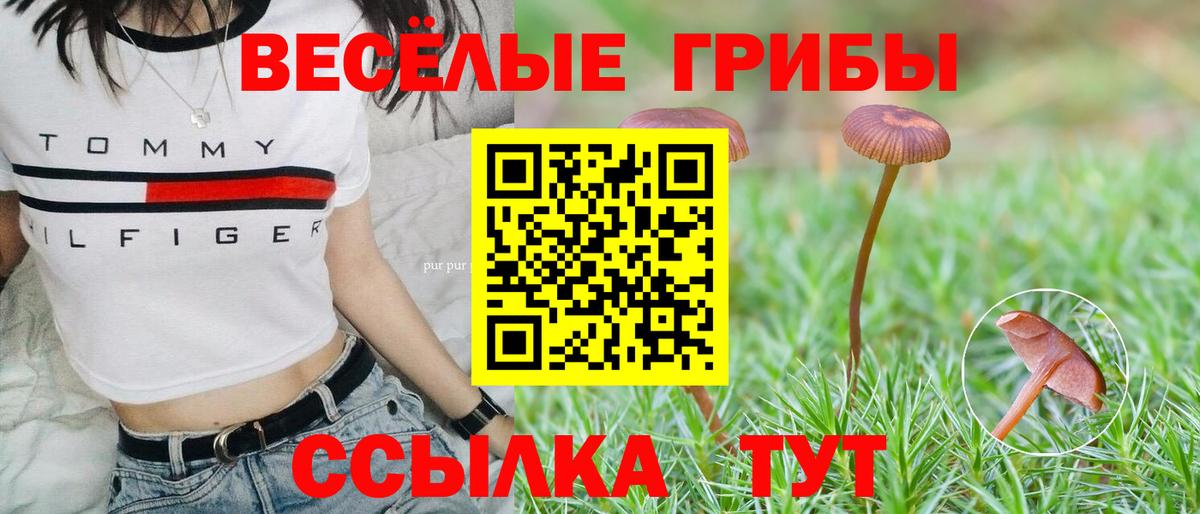 Псилоцибиновые грибы Magic Shrooms Губкинский