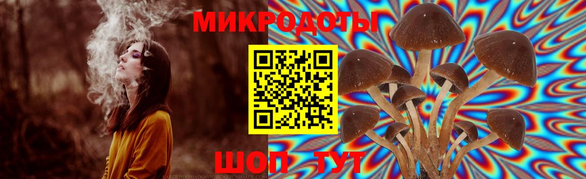 Галлюциногенные грибы Psilocybine cubensis  Вход с VPN  Губкинский 
